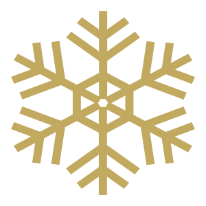 Icona fiocco di neve per la stanza del freddo dellhotel
