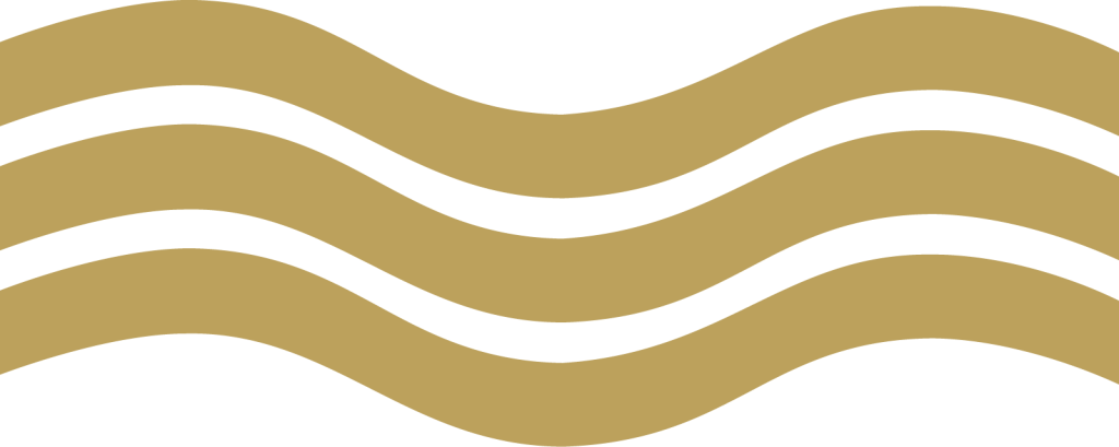 Icona Onda Logo